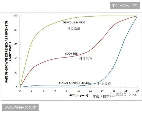 杜埃战术角色与成长曲线对其上限的影响分析
